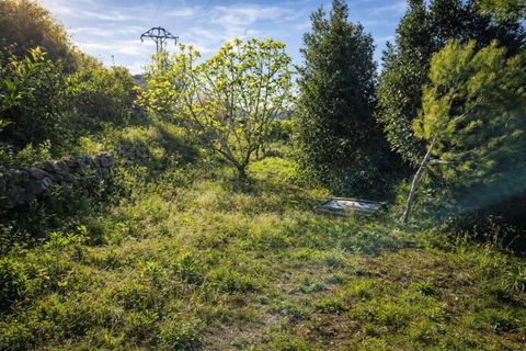 Tomt i Benimeli, Alicante, Benimeli - € 83 000 | Ref: PNPT297 - foto 25